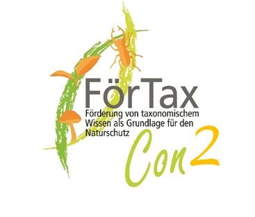 FoerTaxCon2-Logo