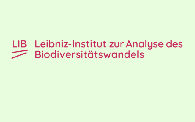 LIB_vorlage_bilder_kacheln_webseite