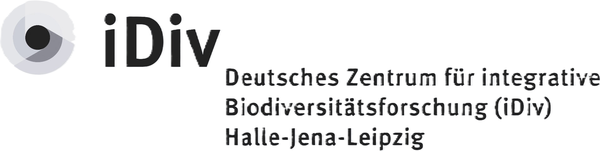 iDivLogo-long-DE back